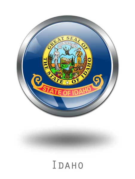 3d 爱达荷州旗上的按钮图 — 图库照片