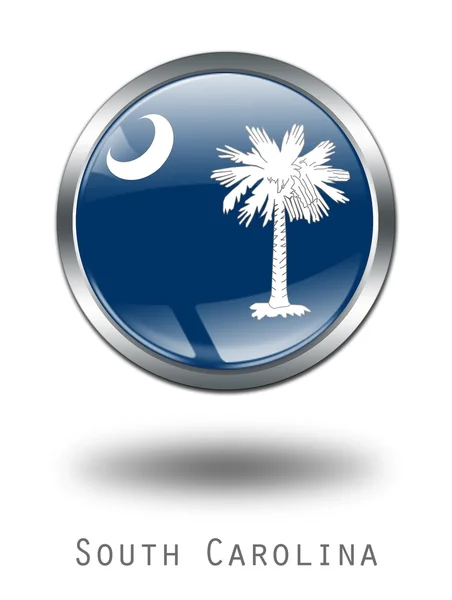 3d 사우스 캐롤라이나의 깃발 버튼 illustrat — 스톡 사진