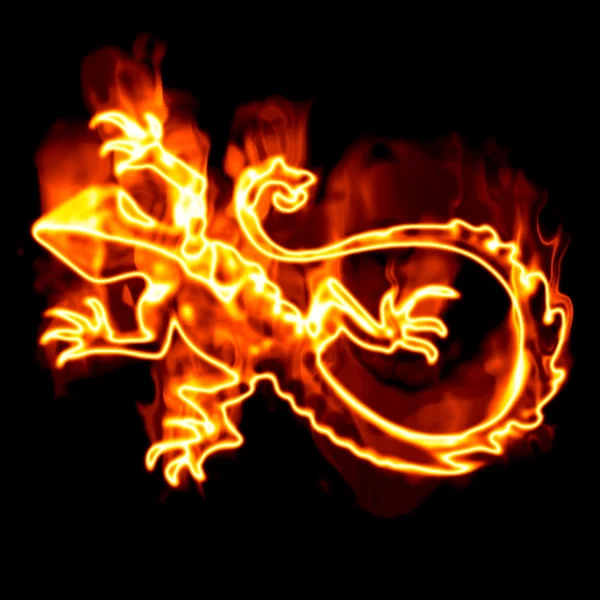 Lizard surrounded by fire on a white bac — Stock Photo, Image