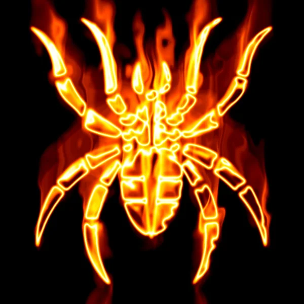 Spider surrounded by fire on a white bac — Stock Photo, Image