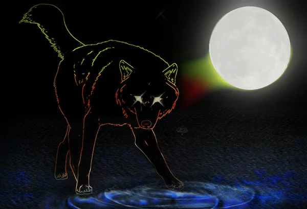 Wolf on night time — Stock Photo, Image