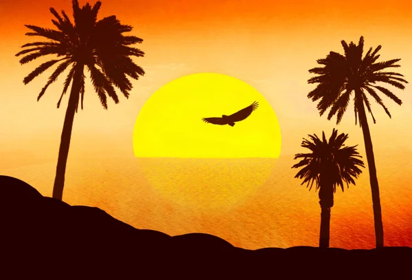 Czerwony zachód słońca na pustyni z palmami Zdjęcia Stockowe bez tantiem