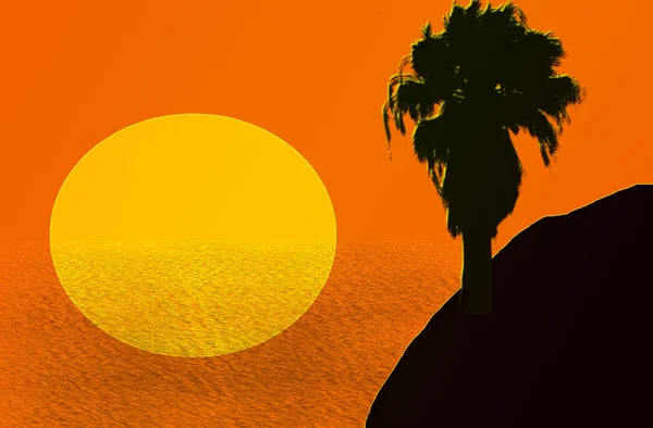 Pôr-do-sol vermelho no deserto com palmas — Fotografia de Stock
