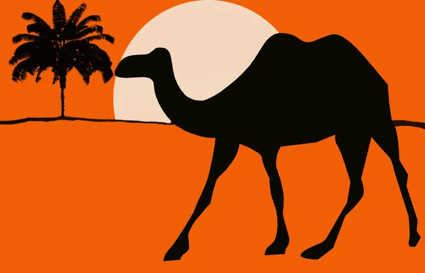 Kamel. — Foto Stock