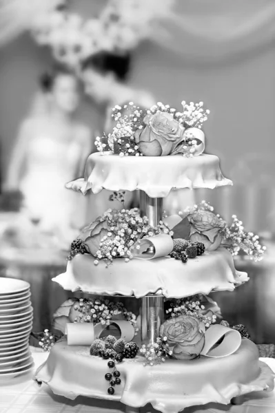 Svatební koláč 7 — Stock fotografie