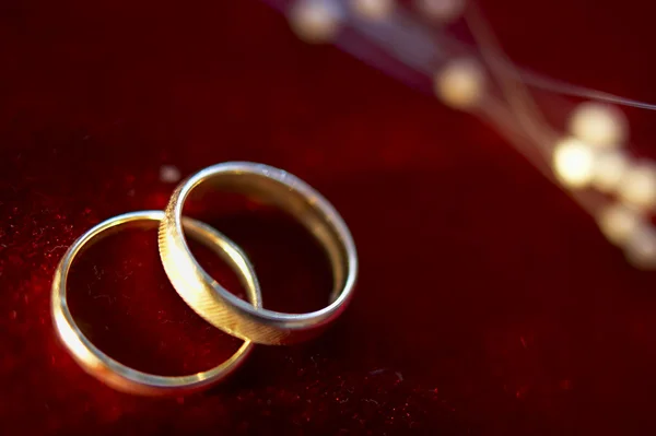 Anéis de casamento 3 — Fotografia de Stock