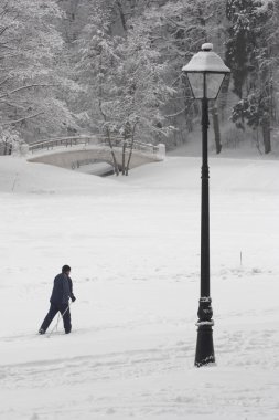 Walk of the skier on winter beauty clipart