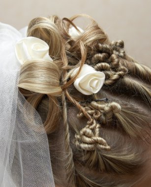 Beautiful stacking of hair of the bride clipart