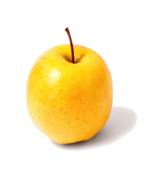 Manzana dorada sobre fondo blanco — Foto de Stock