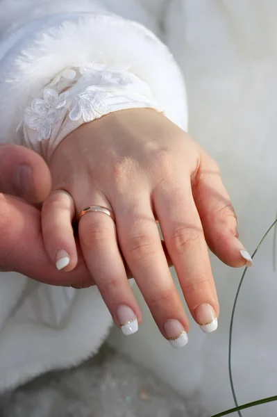 Hands of a newly-marrie — Stock Photo, Image