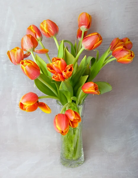 对白色织物花瓶里的郁金香 — 图库照片