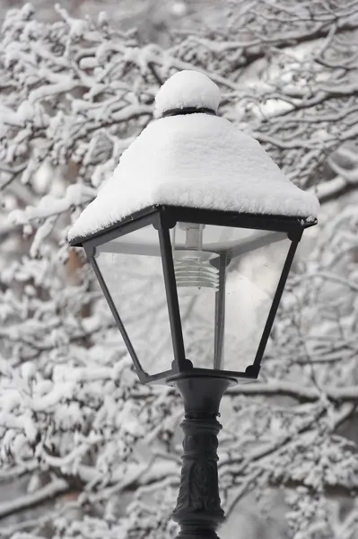 Park lantern in a snow — Stock Photo, Image