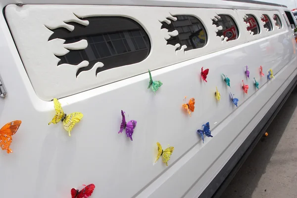 stock image Limousine the butterfly