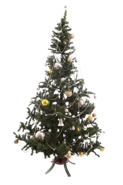 Großer Weihnachtsbaum — Stockfoto