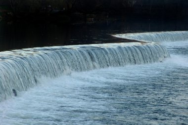 Eğri