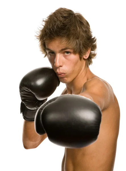 Boxer. — Fotografia de Stock