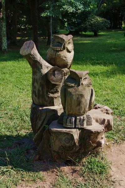 Houten sculptuur van een uil in het park — Stockfoto