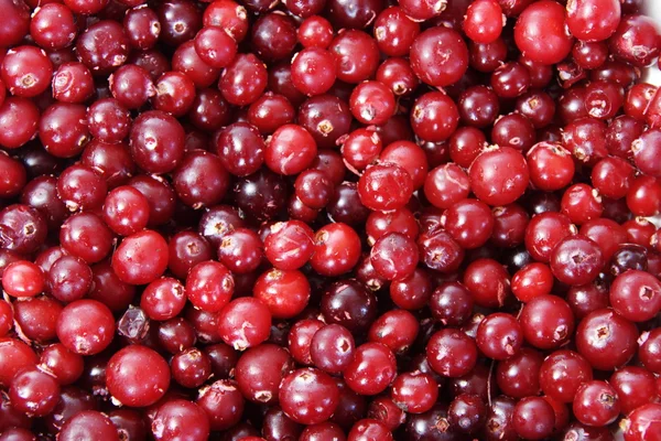 stock image Frozen berry cranberry