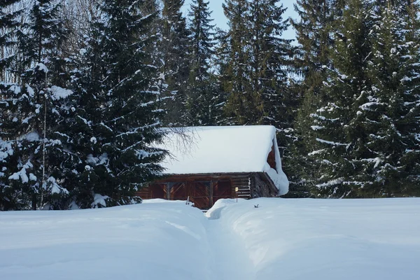 Holzbau im Winterwald — Stockfoto