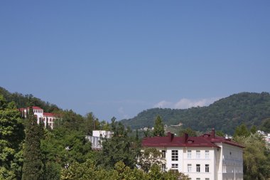 Yaz aylarında sochi