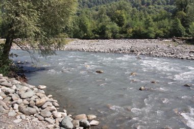 sochi kasaba sığ nehir