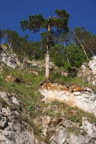 Schöner Felsen im Fluss chusovaya — Stockfoto