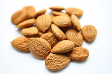 Almonds clipart