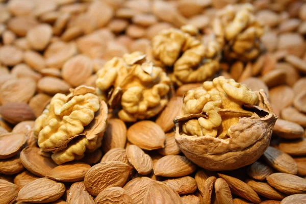 Čisté ořechy — Stock fotografie
