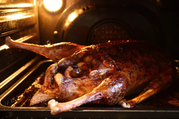 Goose in oven — Stock Photo, Image