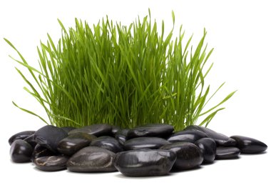 Grass and stones clipart