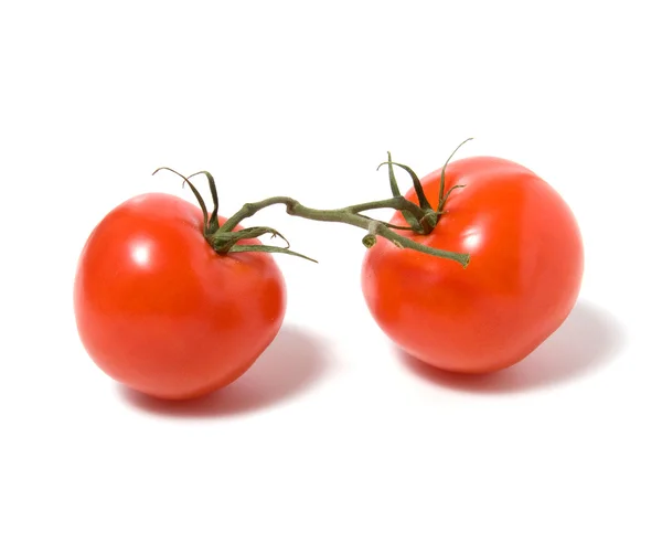 Fasten tomato isolated — Stock Photo, Image