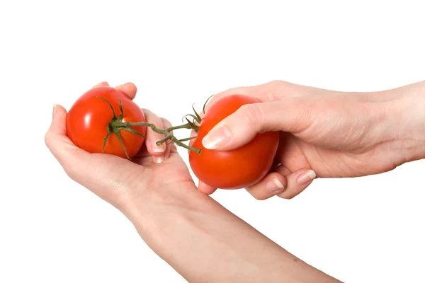 Hände brechen Tomate — Stockfoto