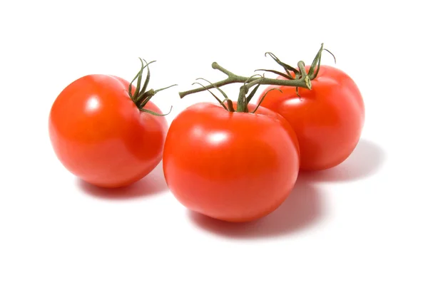 Asegurar el tomate aislado sobre fondo blanco — Foto de Stock
