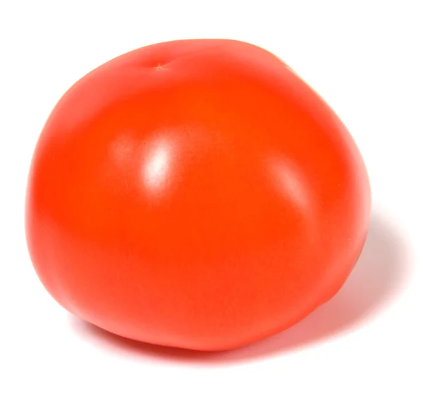 Один красный помидор изолирован на белом фоне — стоковое фото