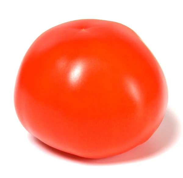 Yksittäinen punainen tomaatti eristetty valkoisella pohjalla — kuvapankkivalokuva