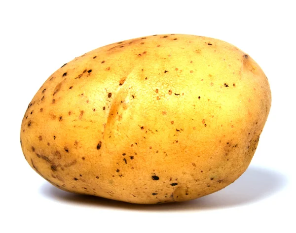 stock image Potato