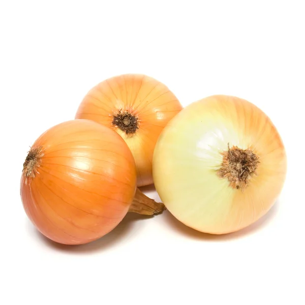 stock image Onion