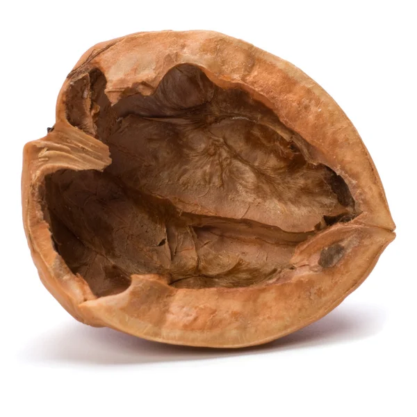 Ореховая скорлупа — стоковое фото