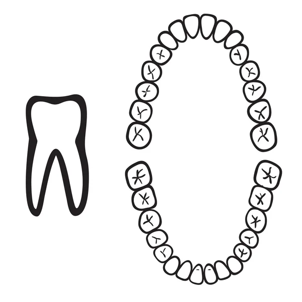 Beyaz izole diş — Stok Vektör