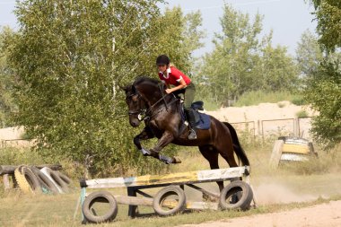 Womanl on horse jumping over barrier clipart