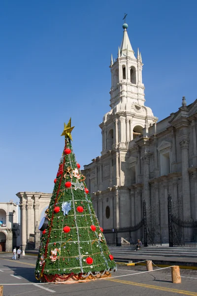 Рождественская елка в Арекипе, Перу — стоковое фото