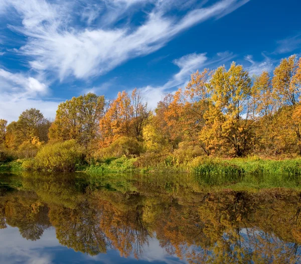 Gele herfst bos op rivier kust — Stockfoto