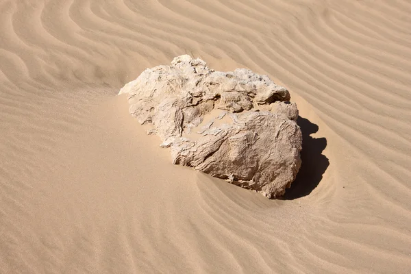 風のテクスチャを持つ砂漠を砂します。 — ストック写真