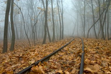 Railing in misty autumn forest clipart