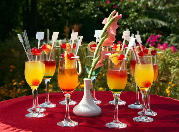 stock image Cocktails on the red table