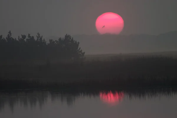 Východ slunce nad jezerem — Stock fotografie