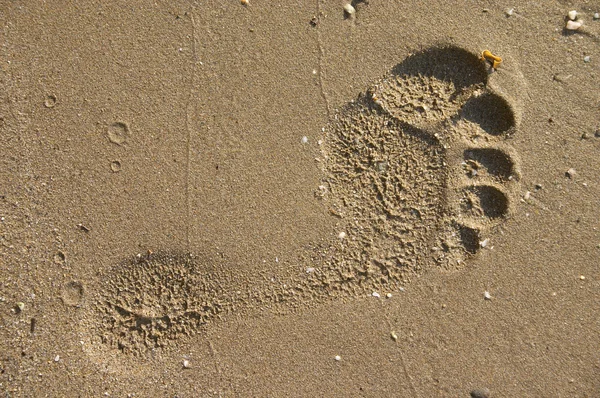 Footprint on sand beach — Stock Photo, Image