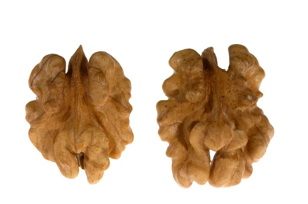 Two kernels of walnut — Stock Photo, Image
