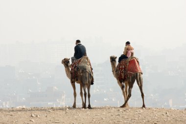 Two bedouin nomad on camels clipart