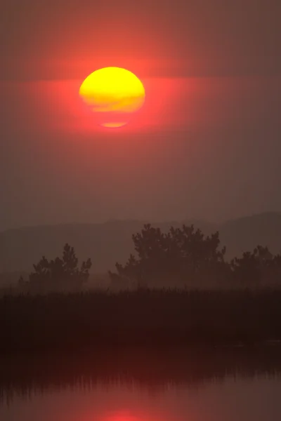 Wschód słońca nad jeziorem dzika — Zdjęcie stockowe
